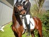 dressage horse Benetton's Brezel de Luxe (German Riding Pony, 2019, from Benetton S)