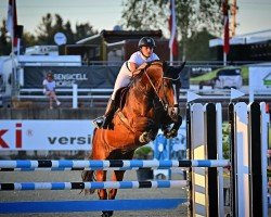 Springpferd Pommery (Polnisches Warmblut, 2011, von Turbud Quirinus)