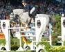 jumper Chaccland (Oldenburg show jumper, 2005, from Chacco-Blue)