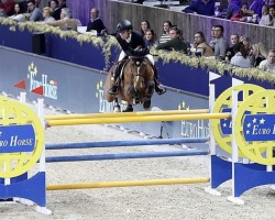 jumper Nistria D'o (Belgian Warmblood, 2013, from Falco)