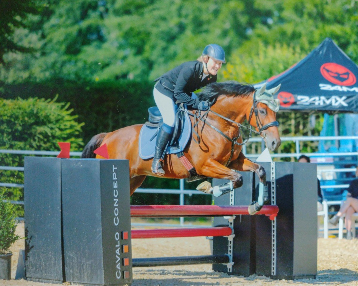 horse Forever Surprise xx (Thoroughbred, 2015, from Jukebox Jury xx)