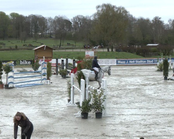 Reitturnier Westergellersen 2024