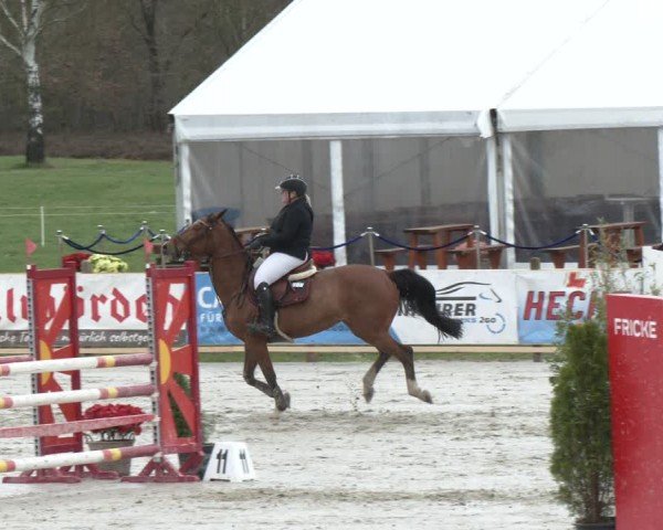 Reitturnier Westergellersen 2024