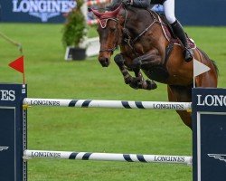 jumper Jordana van het Velpedal (Belgian Warmblood, 2009, from Chacco-Blue)