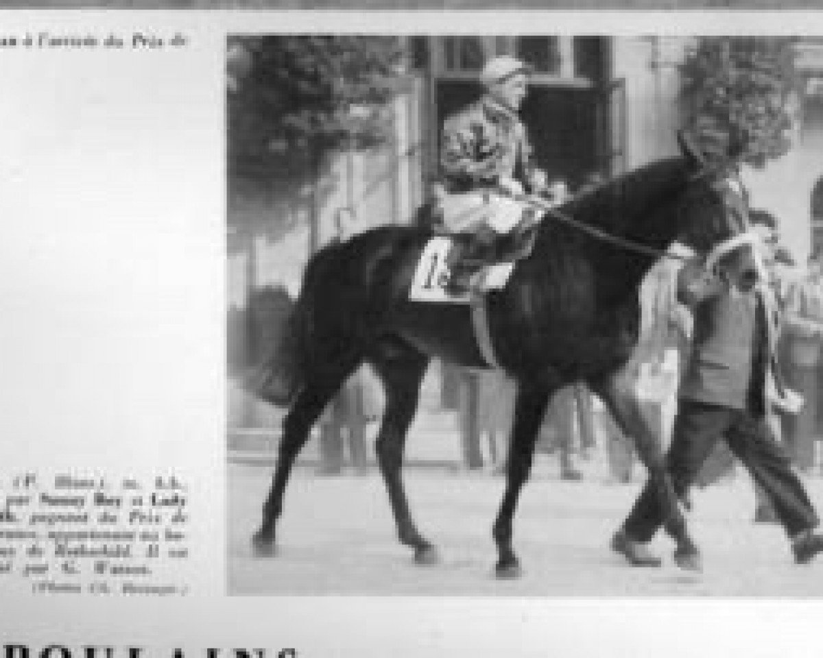 stallion Yorick xx (Thoroughbred, 1951, from Sunny Boy III xx)