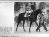 stallion Yorick xx (Thoroughbred, 1951, from Sunny Boy III xx)