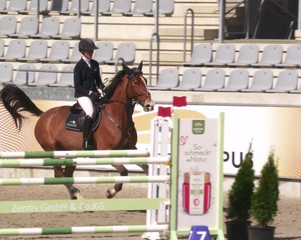 Reitturnier Aachen 2024