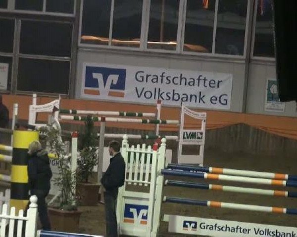 Emlichheim Hallen-Springturnier vom 21.-23.10.2011