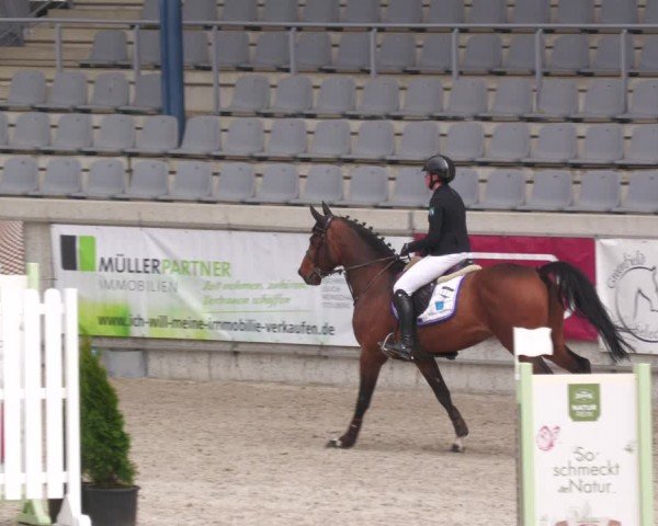 Reitturnier Aachen 2024