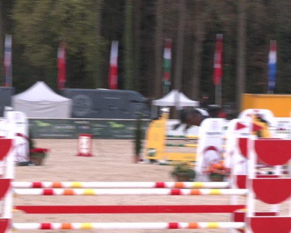 Reitturnier Ranshofen - Braunau am Inn 2024