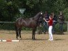 broodmare Délia de Allemagne dk (Hanoverian, 2019, from D'Egalite)