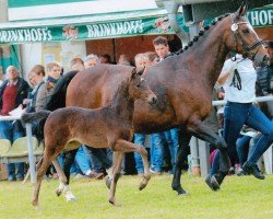 broodmare Germans Gaidima (Rhinelander, 2004, from Goethe)