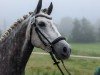 dressage horse Sunny Day Vom Breuberg (German Riding Pony, 2016, from Sunny Boy S 2)