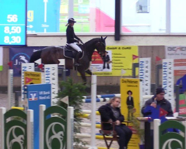 Reitturnier Niebüll - Jumping Team Nord 2024
