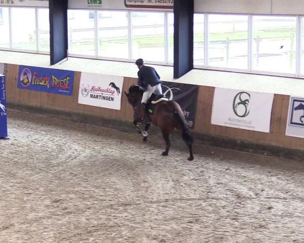 Reitturnier Niebüll - Jumping Team Nord 2024