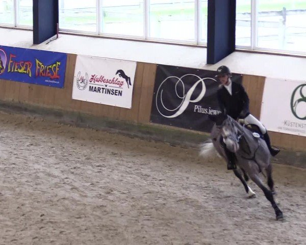 Reitturnier Niebüll - Jumping Team Nord 2024