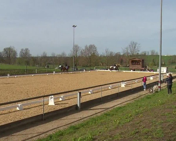 Reitturnier Altentrüdingen/Mfr. 2024