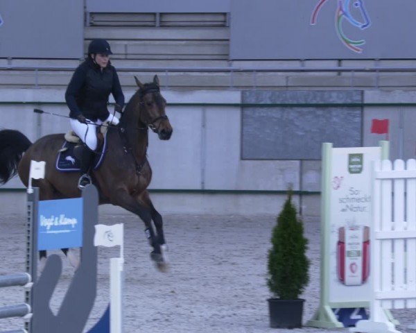 Reitturnier Aachen 2024