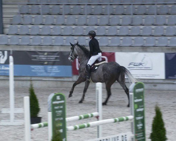Reitturnier Aachen 2024