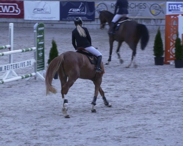 Reitturnier Aachen 2024