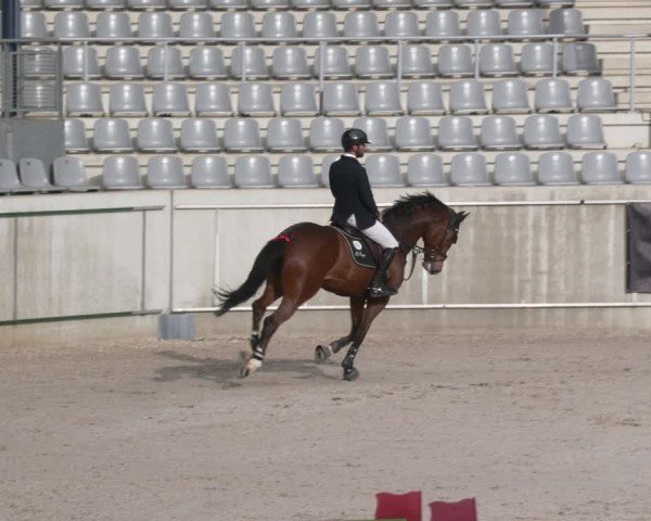 Reitturnier Aachen 2024