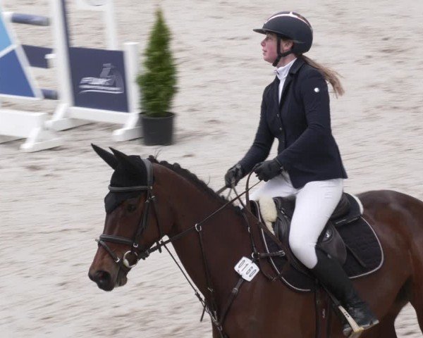 Reitturnier Aachen 2024