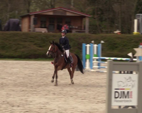 Reitturnier Pietzpuhl 2024