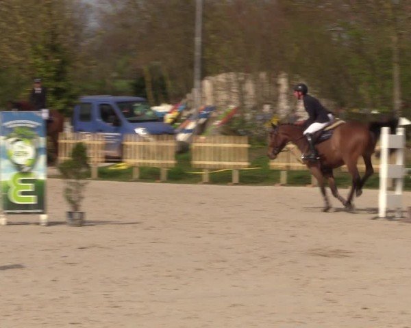 Reitturnier Pietzpuhl 2024