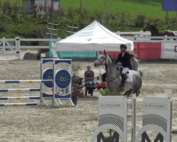 Reitturnier St. Margarethen 2024
