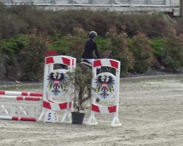 Reitturnier St. Margarethen 2024