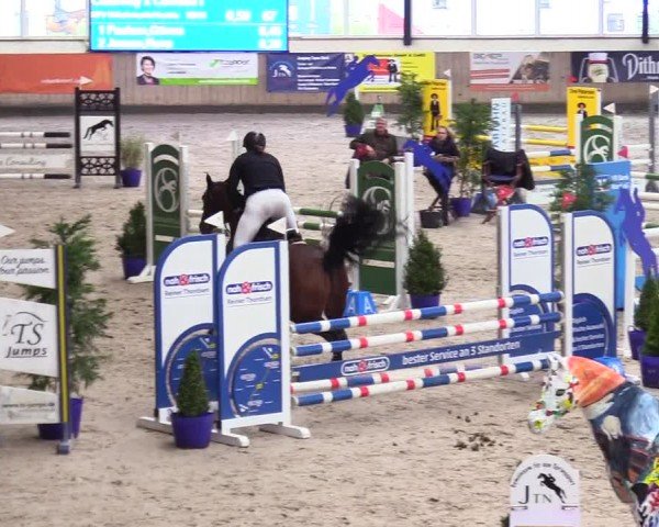 Reitturnier Niebüll - Jumping Team Nord 2024