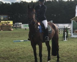 jumper Kingston Classic (Hanoverian, 2015, from Kannan)