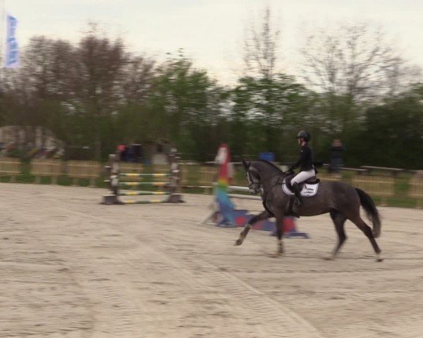 Reitturnier Pietzpuhl 2024