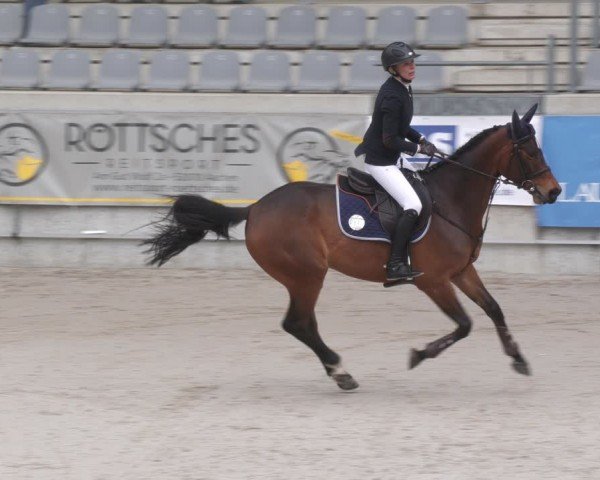 Reitturnier Aachen 2024