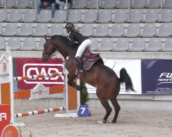 Reitturnier Aachen 2024