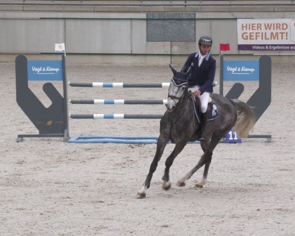 Reitturnier Aachen 2024