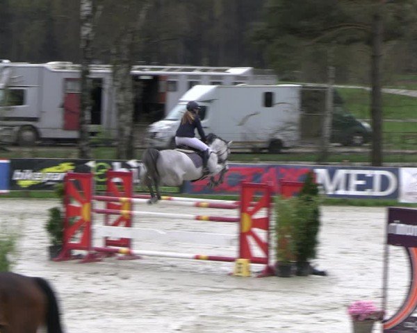 Reitturnier Westergellersen 2024