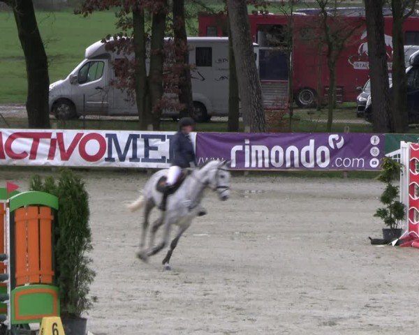 Reitturnier Westergellersen 2024