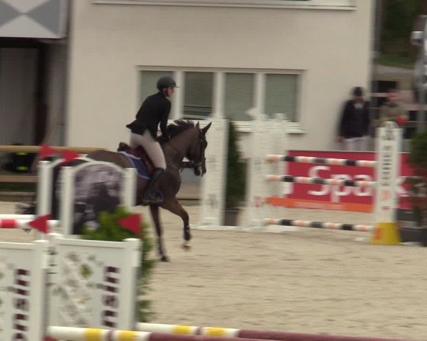 Reitturnier Balve-Wocklum 2024