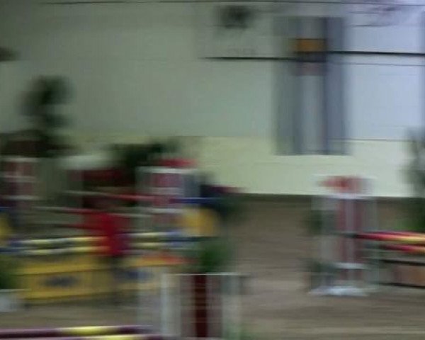 Legdener Ponymeeting 2011