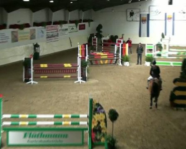 Legdener Ponymeeting 2011
