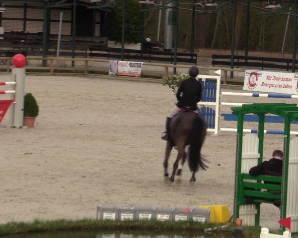 Reitturnier Balve-Wocklum 2024