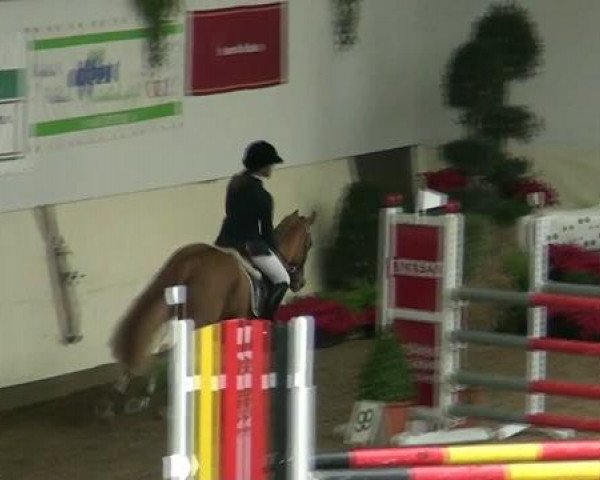 Legdener Ponymeeting 2011