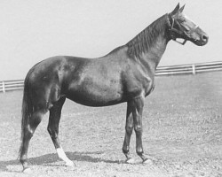 broodmare Blue Girl xx (Thoroughbred, 1938, from Embargo xx)