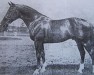 stallion Gidran IV (Gidran, 1934, from Gidran XXXIII)