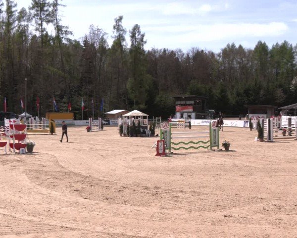 Reitturnier Ranshofen - Braunau am Inn 2024