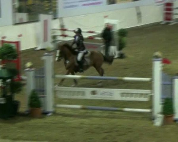 Legdener Ponymeeting 2011