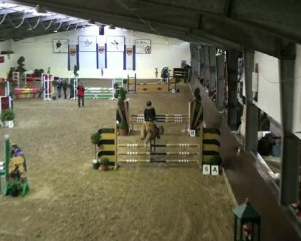 Legdener Ponymeeting 2011