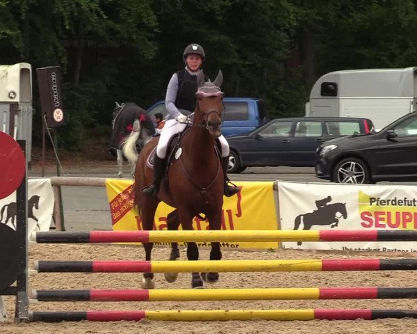 Reitturnier Albersdorf Dithmarsenpark 2021