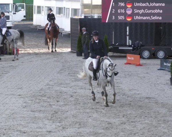 Reitturnier Aachen 2024